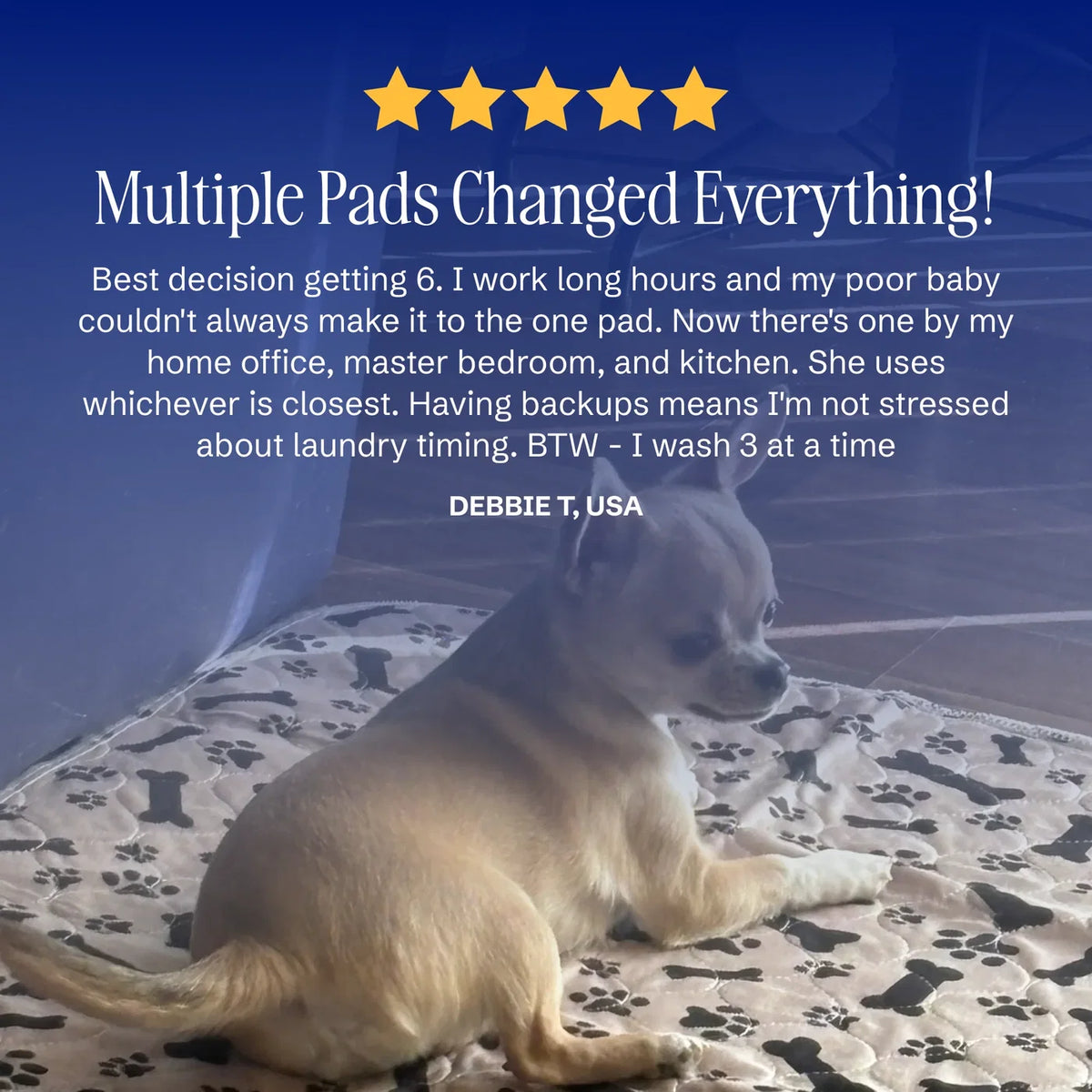 NovaPup Puppy Pad - The Last Pee Pad You'll Get